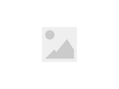 BOX 2.0x5.7 SMT簡牛